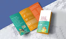 بروشور طباعه || مسلفن مات / اضافة طوية +20$  اضافة سبوت بارز +40 دولار